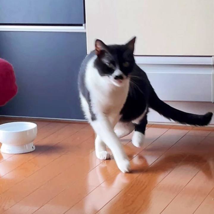 0e52ce32 1835 4c1a b02a d25303859c39 1689589579604