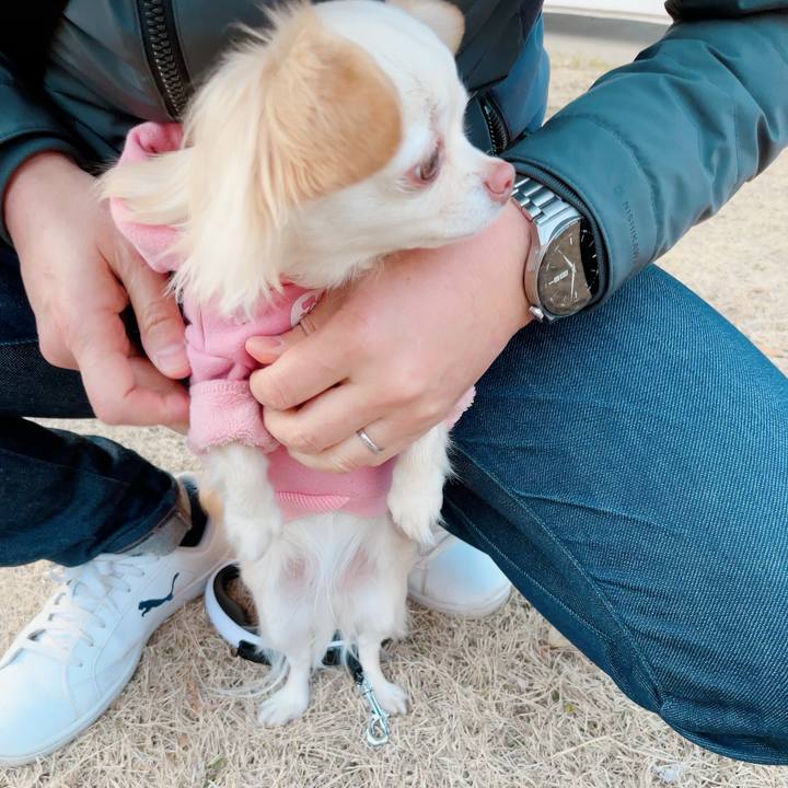 0e533d20 ad8a 4eef 8e70 b6c56d45edc4 1707642041408