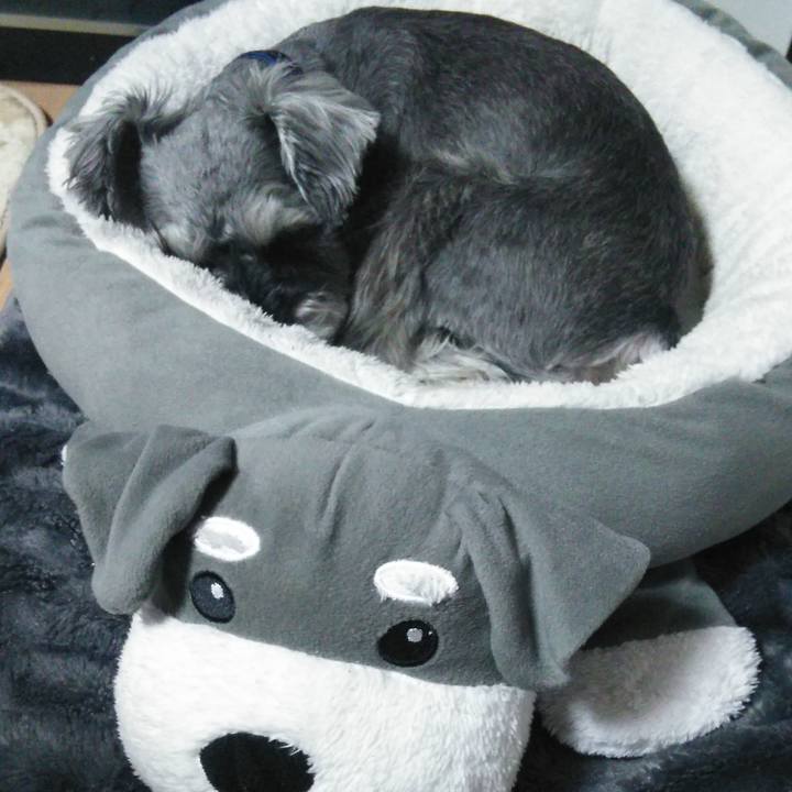 0e533fd4 0034 4097 bad8 5448717f8745 1521502080509