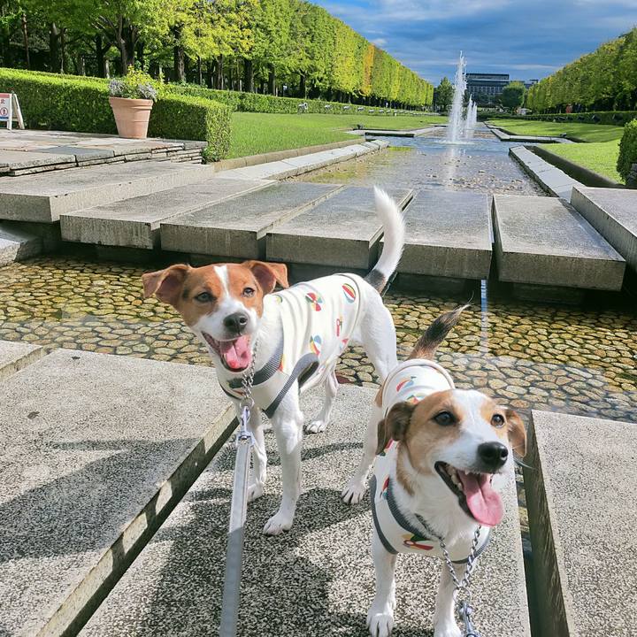 0e53990d e741 4cf2 8877 f094763c6553 1761553474779