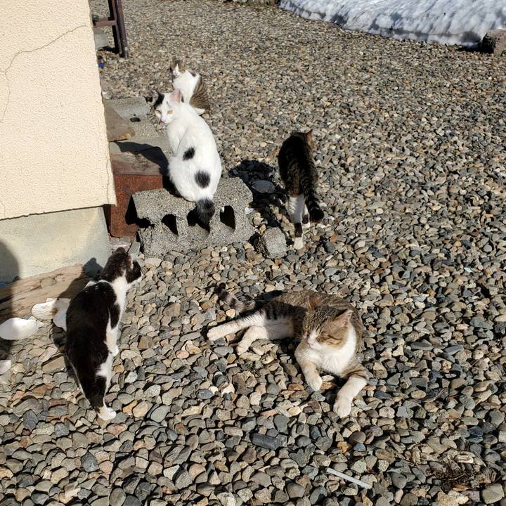 0e53fec3 2af4 4692 9905 1924237ca160 1713236945907