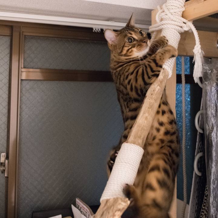 0e54157c 7d7a 446c 8b1a f48044c19b63 1519921983899