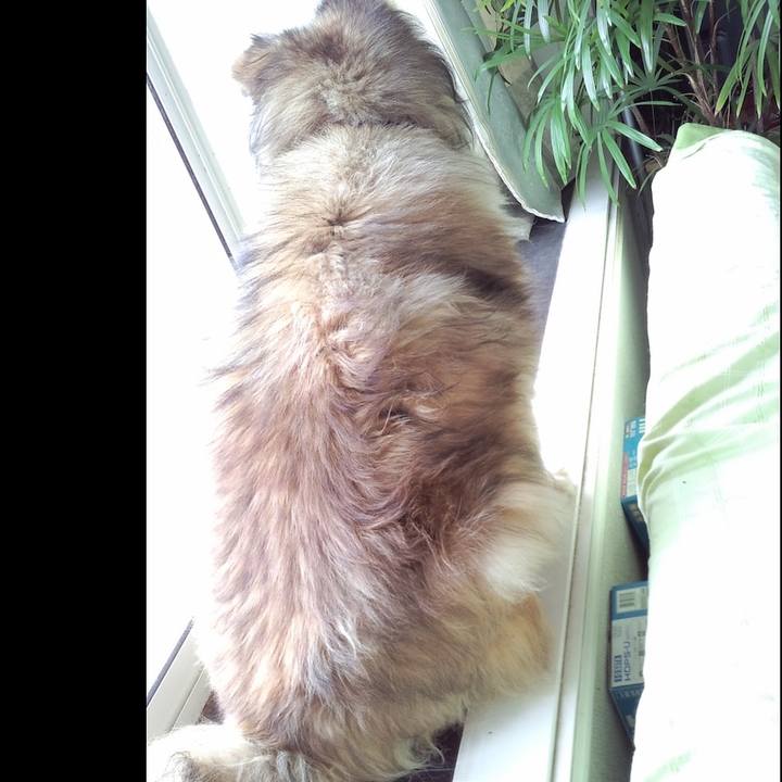 0e543d04 9297 4b9b 98eb 85c672833793 1657375934733