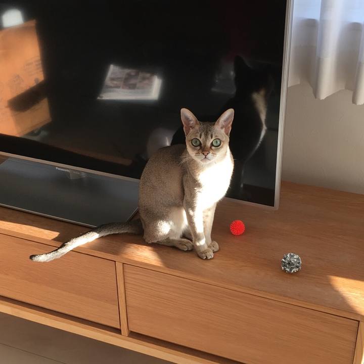 0e5462ce 4d9b 4169 af45 b09ae5906d28 1511026821972