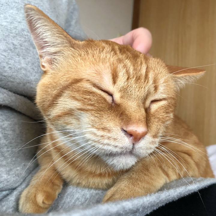 0e549656 2e49 44fe ae19 f0a8c7370f0e 1606013614290