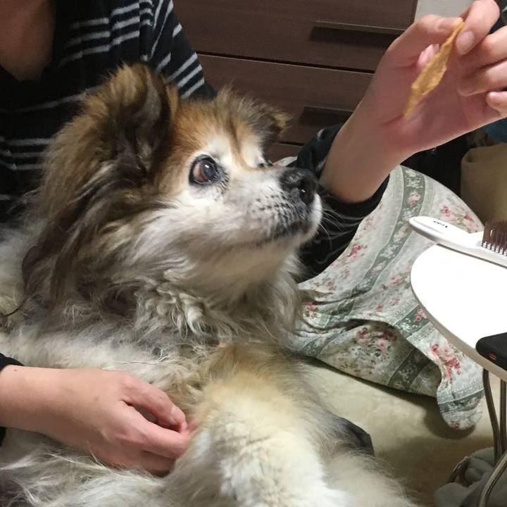 0e54a7dd dc2a 4881 8551 71721fd82576 1609417418816