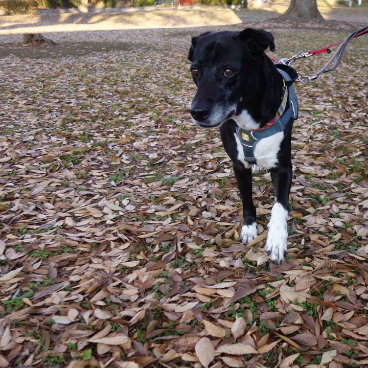 0e54af5f a1c7 400e 8bce 2f3bf680ea0d 1733960926029