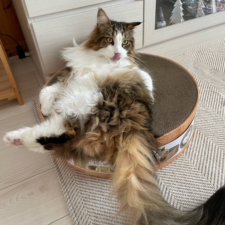 0e54bf34 90a0 48a3 8391 557bc3794fbe 1674282364142