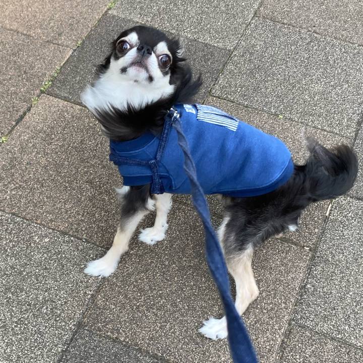 0e54caa9 ed0e 4e5e adf2 6c649b991153 1680854539814