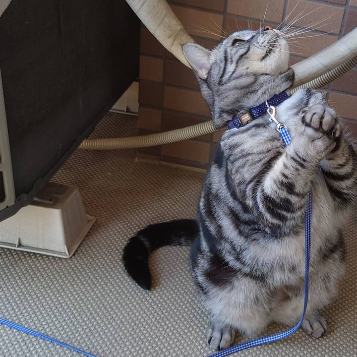 0e54efe4 88eb 4a80 86b2 15c7a156e046 1632103249288