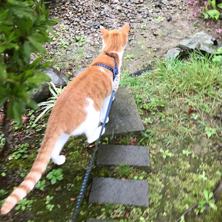 0e550593 d1ea 4cdc 9298 6cd5e842e4c2 1508646422189