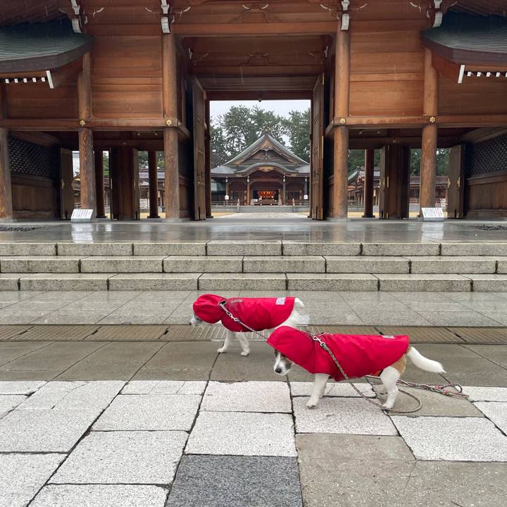 0e550cee c79e 43c8 af28 04a84b0d3973 1702594469654