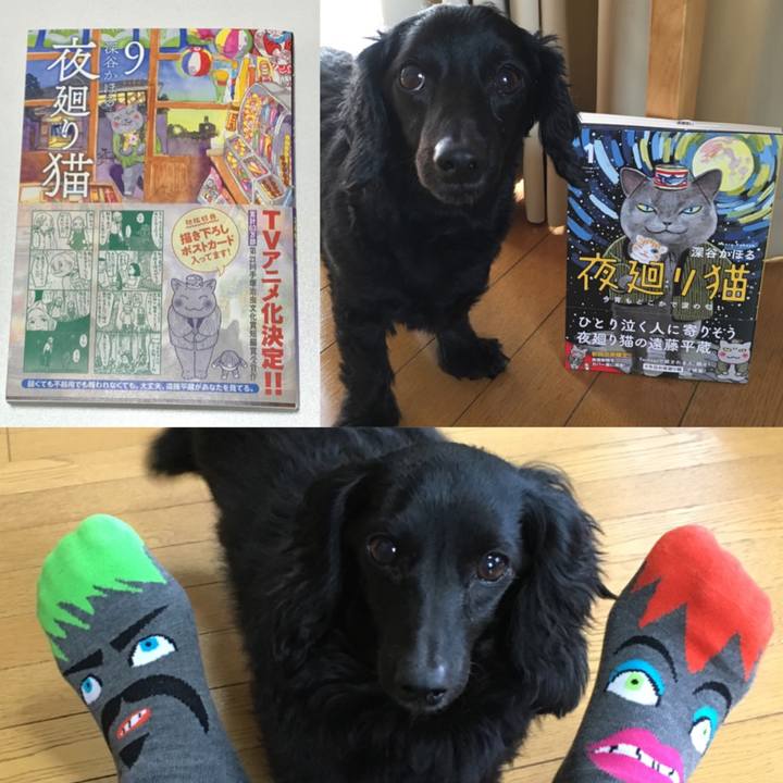 0e552f91 f7b8 4233 b3e6 21081c318a85 1669106983749