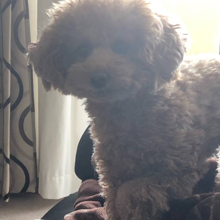 0e5579af 9344 44a8 9577 b15374cdeaa0 1579532931519