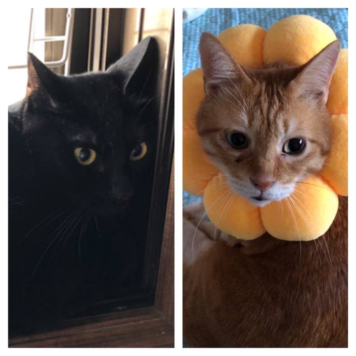 0e557f4c 57cb 45a3 ab83 72ac1184cc50 1659558227611