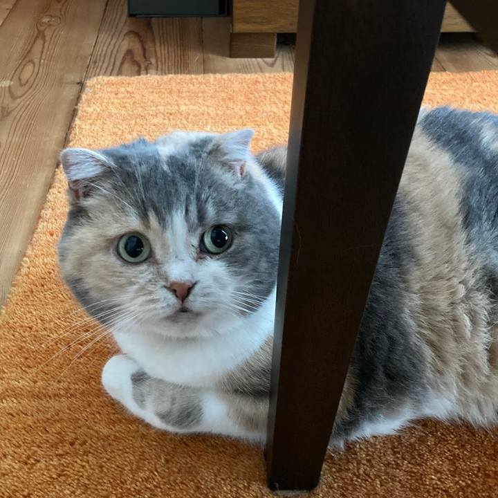 0e55c4a1 dc1f 493f 9ff5 7c384e1c7a52 1655284011156