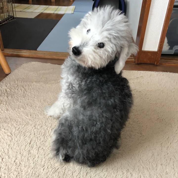 0e55d737 bb10 4dfa b5fc fc87b8c2f3aa 1666402145331