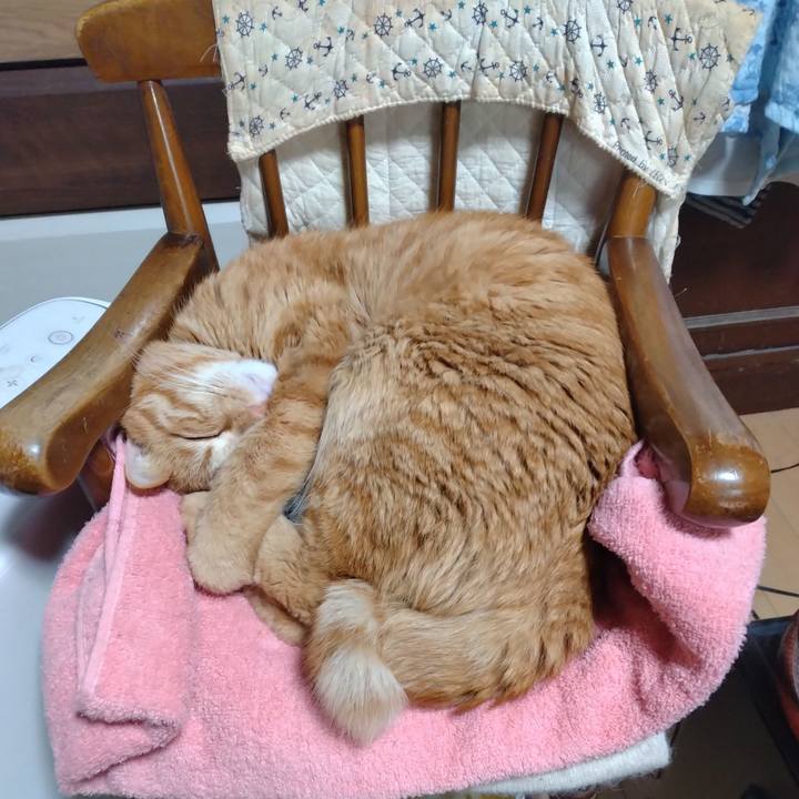 0e5605f4 ba6c 474e 8bd7 7ef49c1bf364 1706953649907