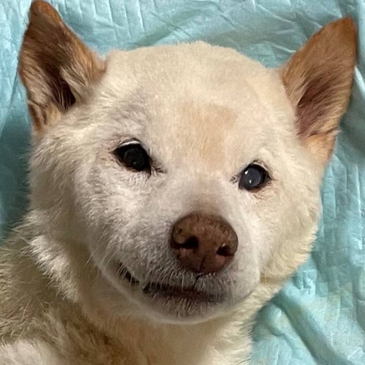 0e56121b 370a 4e02 84ae bed0bb428085 1679816287094