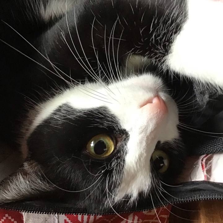 0e5633c7 10b0 4a71 ad1e 2c596da58d3b 1669107399002