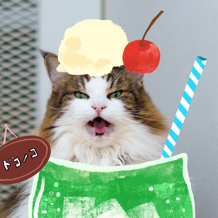 0e563906 cc8b 413e 8fd3 cfc6baca3819 1755066684768