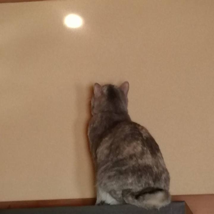 0e568843 8fa7 47f4 b87a 3231b75ebe5f 1537484717633