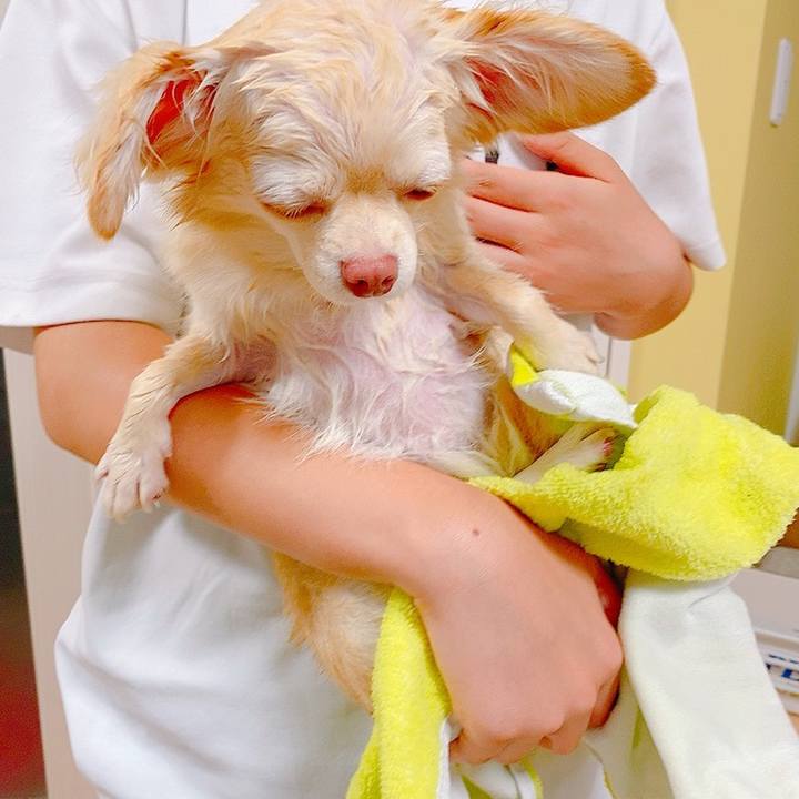 0e56936a 8e37 453d 9bd7 40136b4391bc 1631535053203