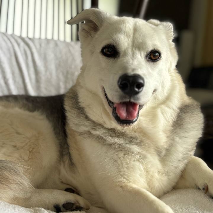 0e56e3cb 70e1 4bc1 b86a dd8917f2c0aa 1751285800385