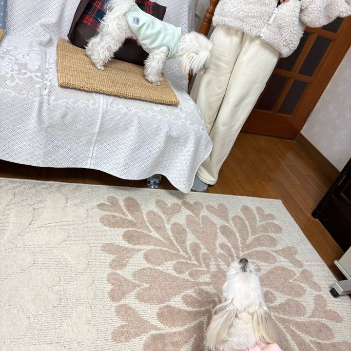 0e571331 225c 416c bc08 f255bafb6a8d 1772700477891