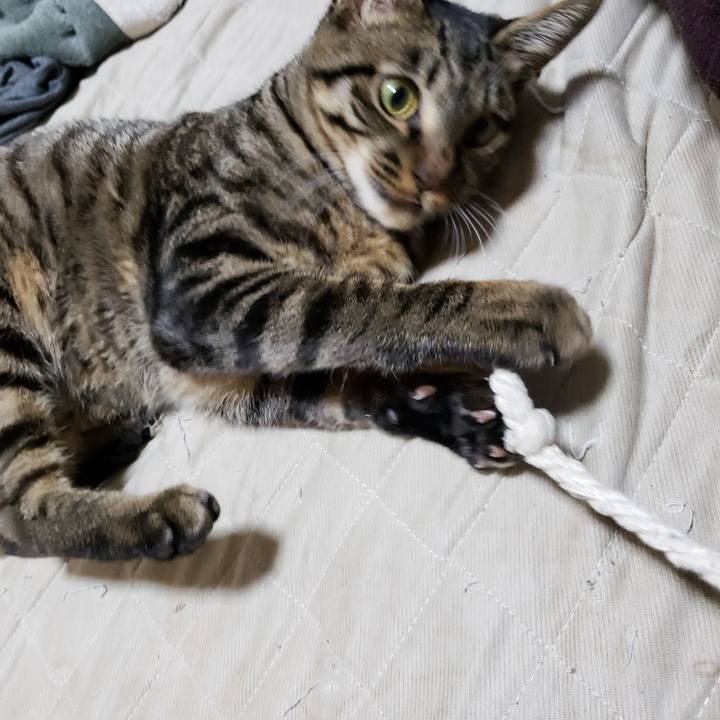 0e573fc8 0020 420c 9d01 0bdb8ba02b80 1549093757075