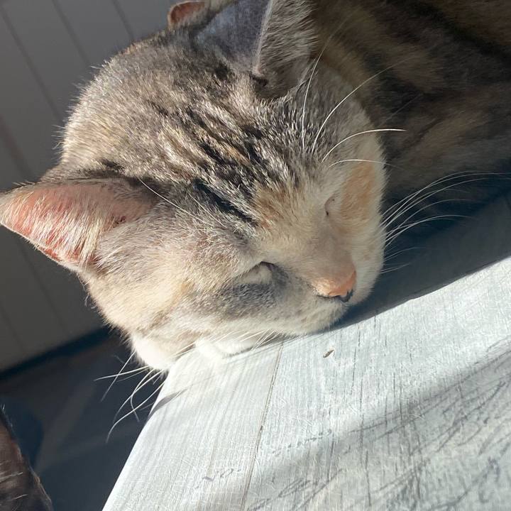 0e575b52 55c3 430d a555 d6c272ea6f4d 1638580757694