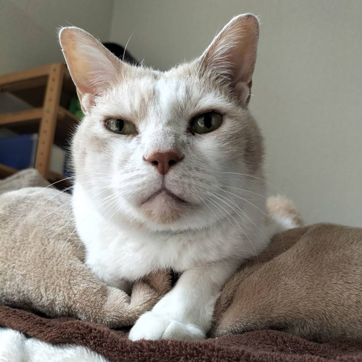 0e57647c aa69 4a70 842c dba29ebc596b 1649892187920