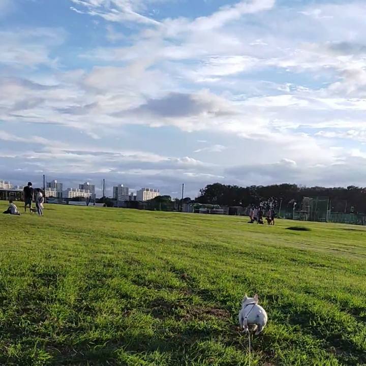 0e57cbc5 d2d1 4062 8e8d 899ad8d2ded7 1660211375674