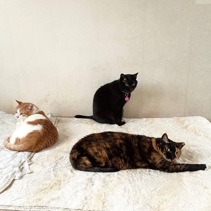 0e57d445 1996 4020 aff9 552fd9c6d92d 1713964620574