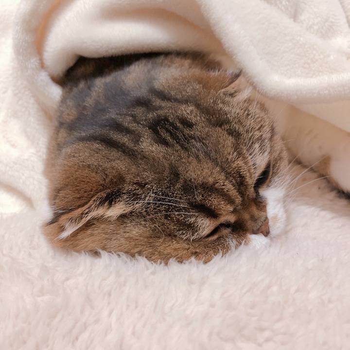 0e57f65e e7b9 48c1 bfb3 b778421a54b0 1552994219749