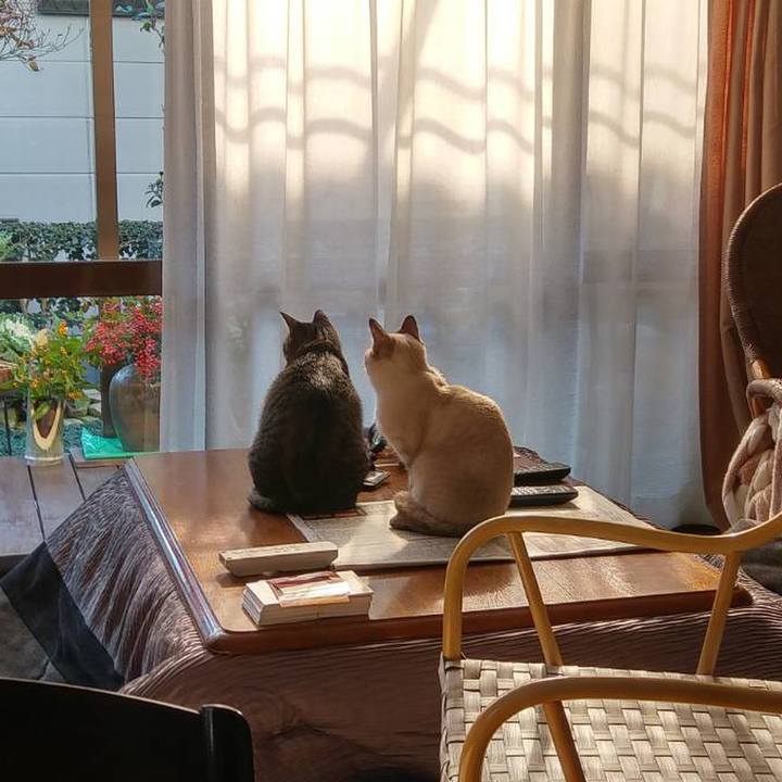 0e581346 6673 4892 adf6 5389c85e0ab0 1546513263571