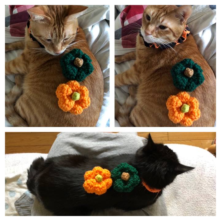 0e5815db f184 439e ab7b 70777975285e 1572129511696