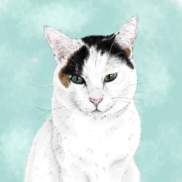 0e585013 c0eb 4ff9 8a55 7044cde0f0ca 1587996085265