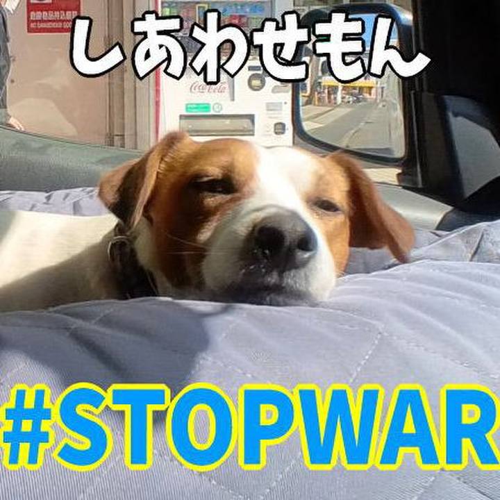 0e58634f 51ac 4948 9230 c751e3410158 1648624353280