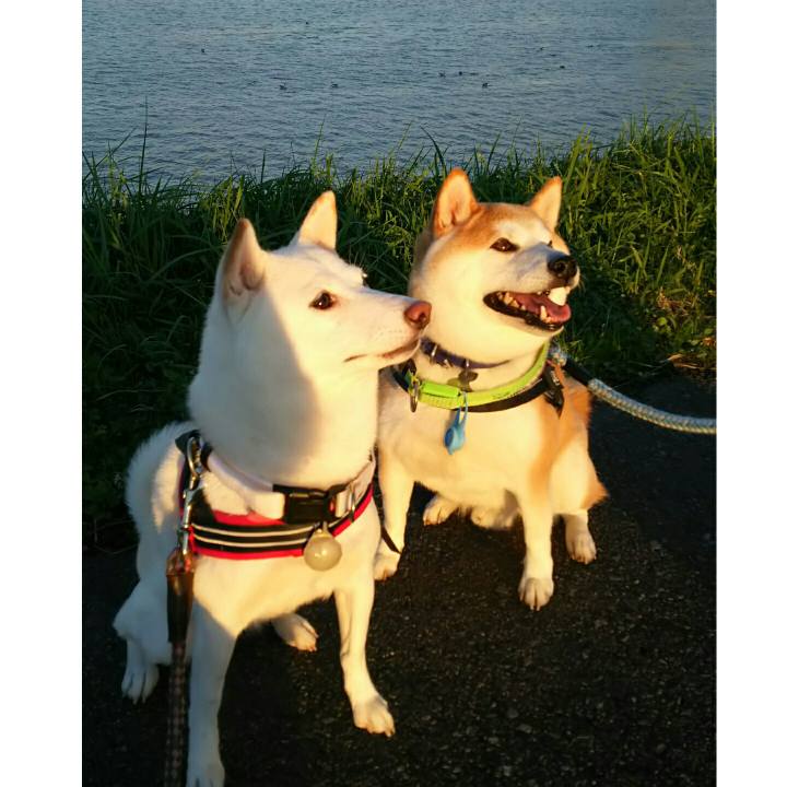 0e588616 2ab3 484f 8ab2 48572f20b383 1538560315052