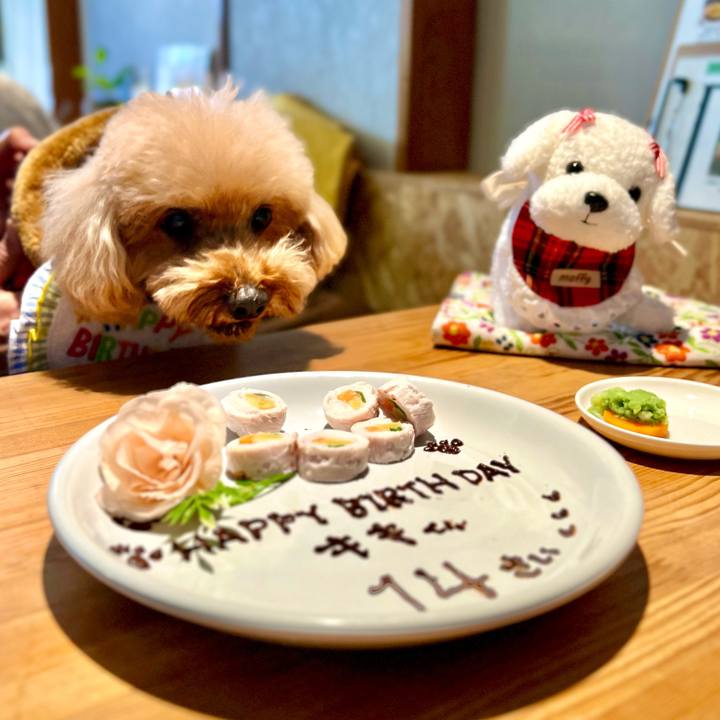 0e589b0a d3b4 4bdd 82c6 2765c28ede8b 1765877966404