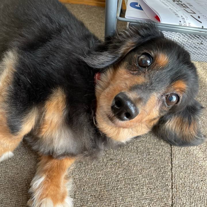 0e58e0e4 f930 4534 b8b2 bb11d0c9378b 1629324866578