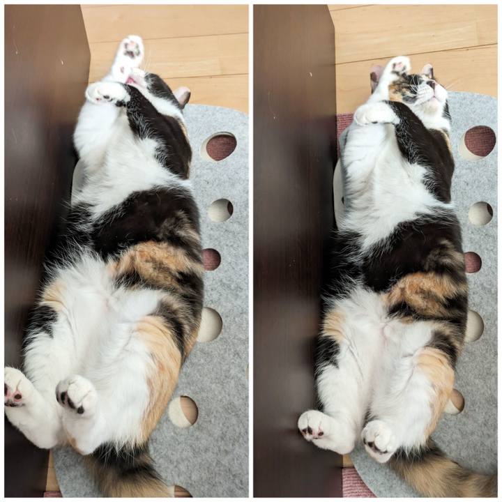 0e58fa21 8562 4968 937b e8bc21b264bb 1693714834180