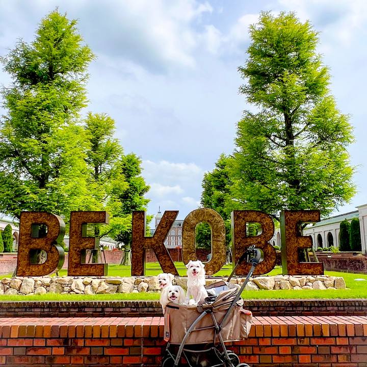 0e592167 0f5f 4e91 bec6 e7e286486356 1687409610066