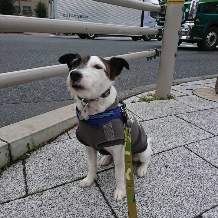 0e594b47 6476 44b3 959e a7962f106512 1520728065144