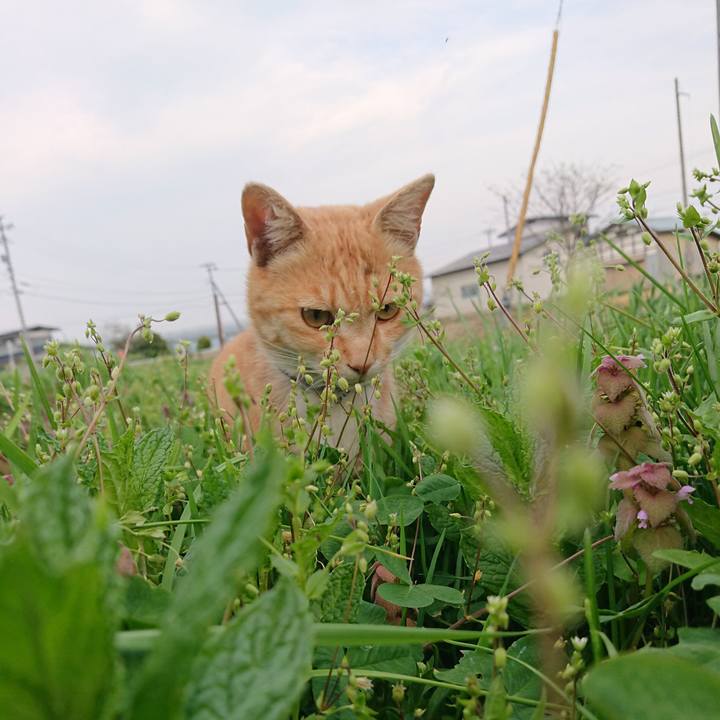 0e594dc2 cc4a 4950 b5aa f265011a958a 1588493608492