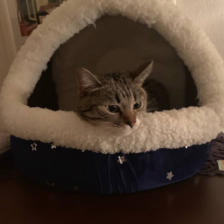 0e595733 534e 4ca0 af52 ca2074337a7e 1574345636417