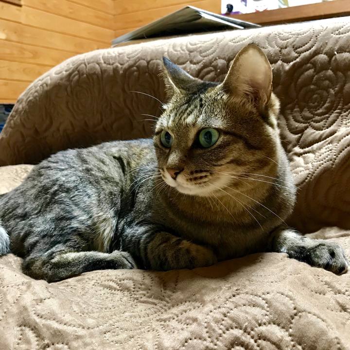 0e595b05 6f21 47a5 96f7 e5e68cc4d79b 1523623626615