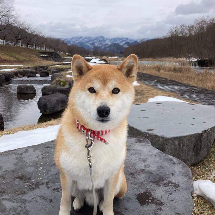 0e595de0 2ce6 4d36 9b7f fbe659bc6cbe 1673780183083