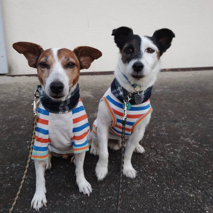 0e598587 d224 4e9f 8600 2eeb486d3810 1756420434205